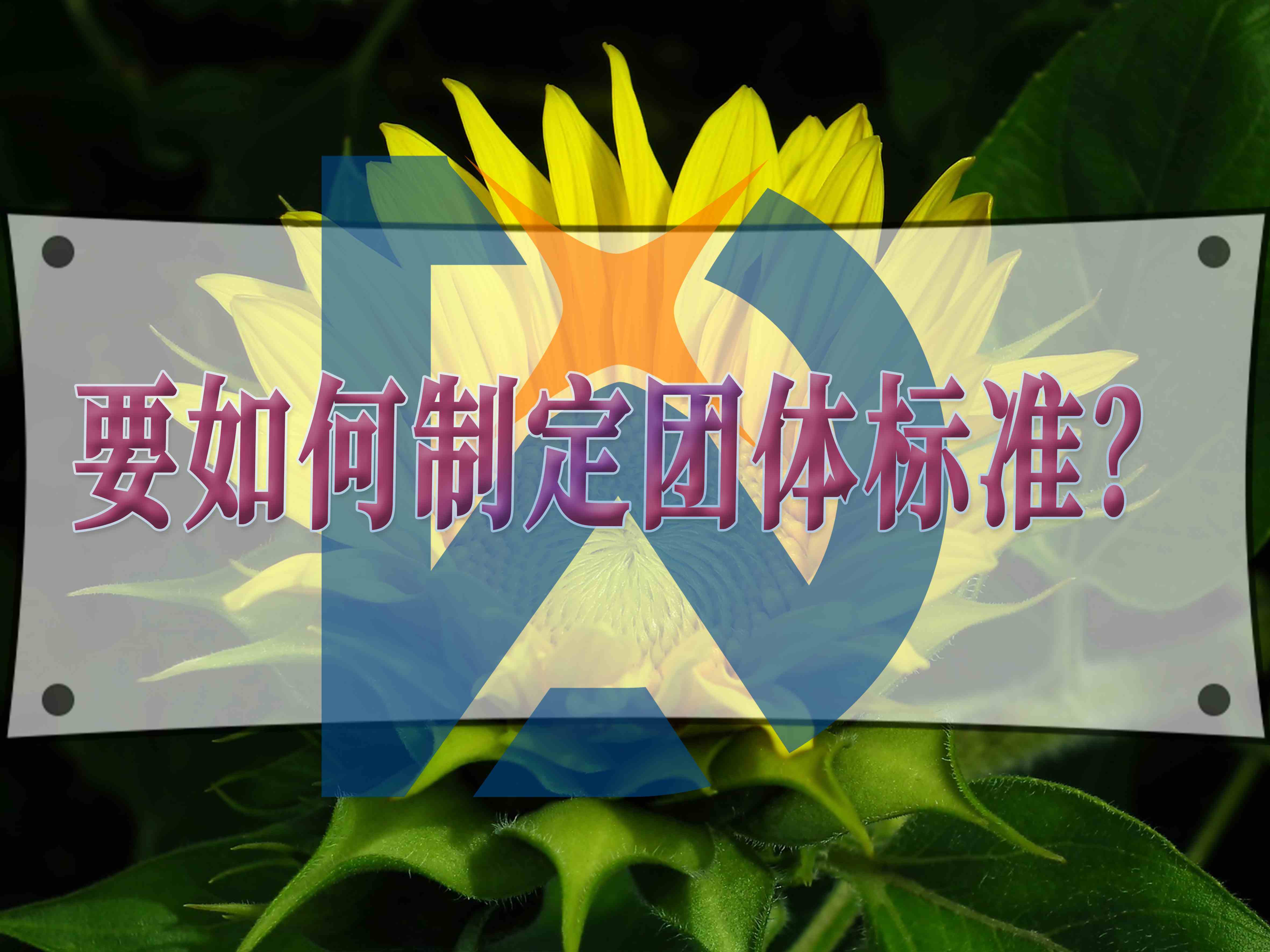 要如何制定团体标准?