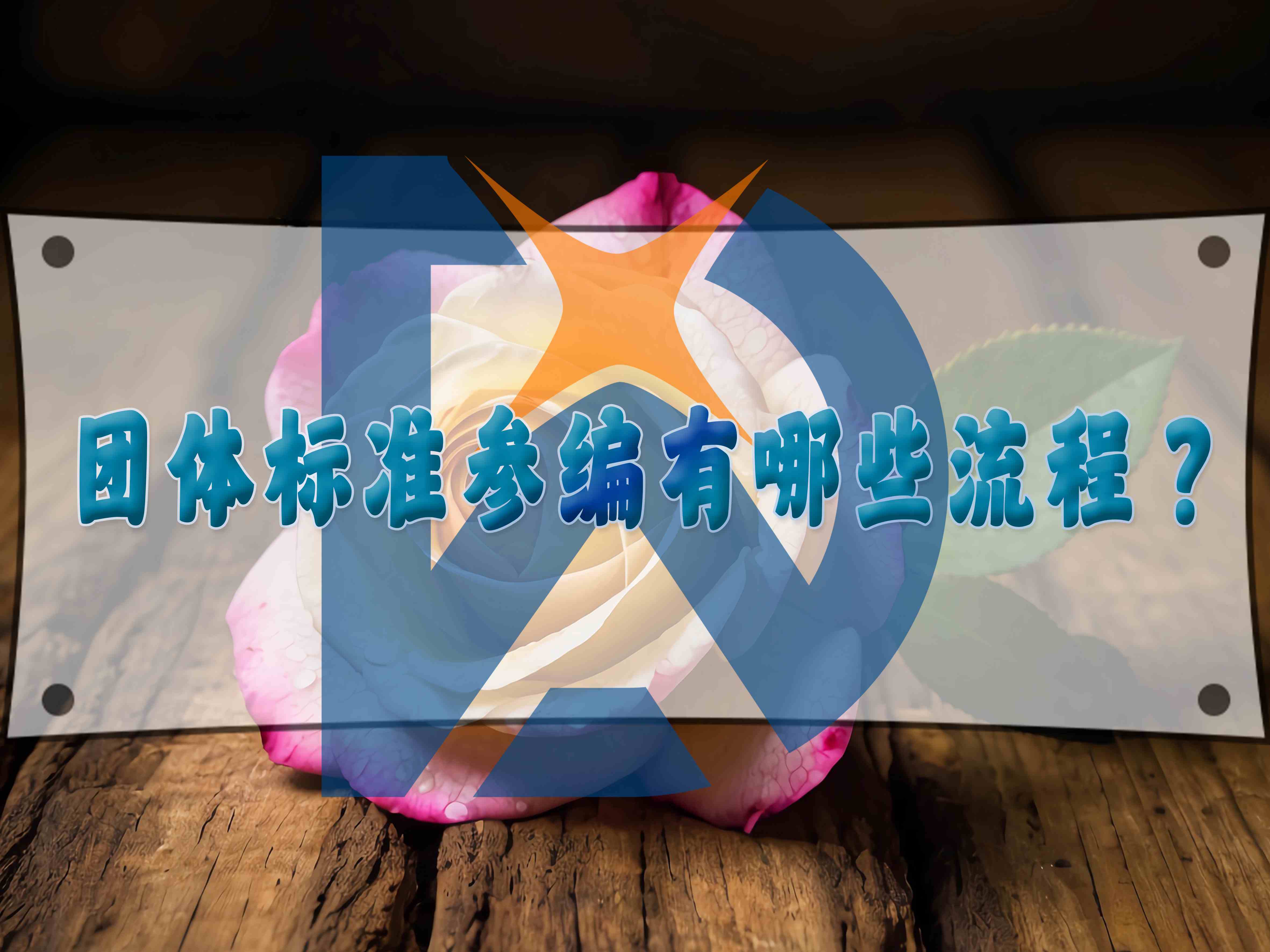 团体标准参编有哪些流程?