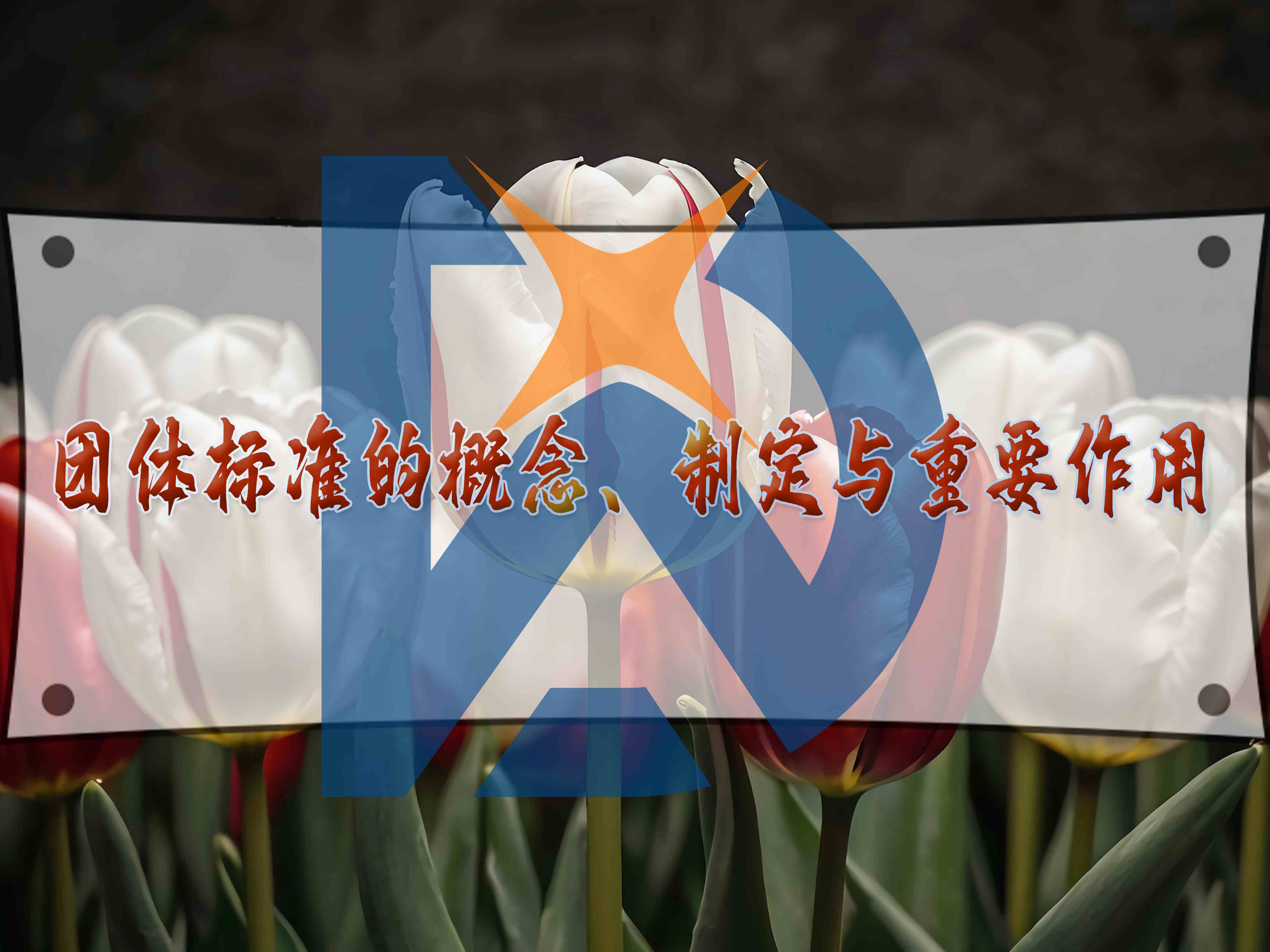团体标准的概念、制定与重要作用