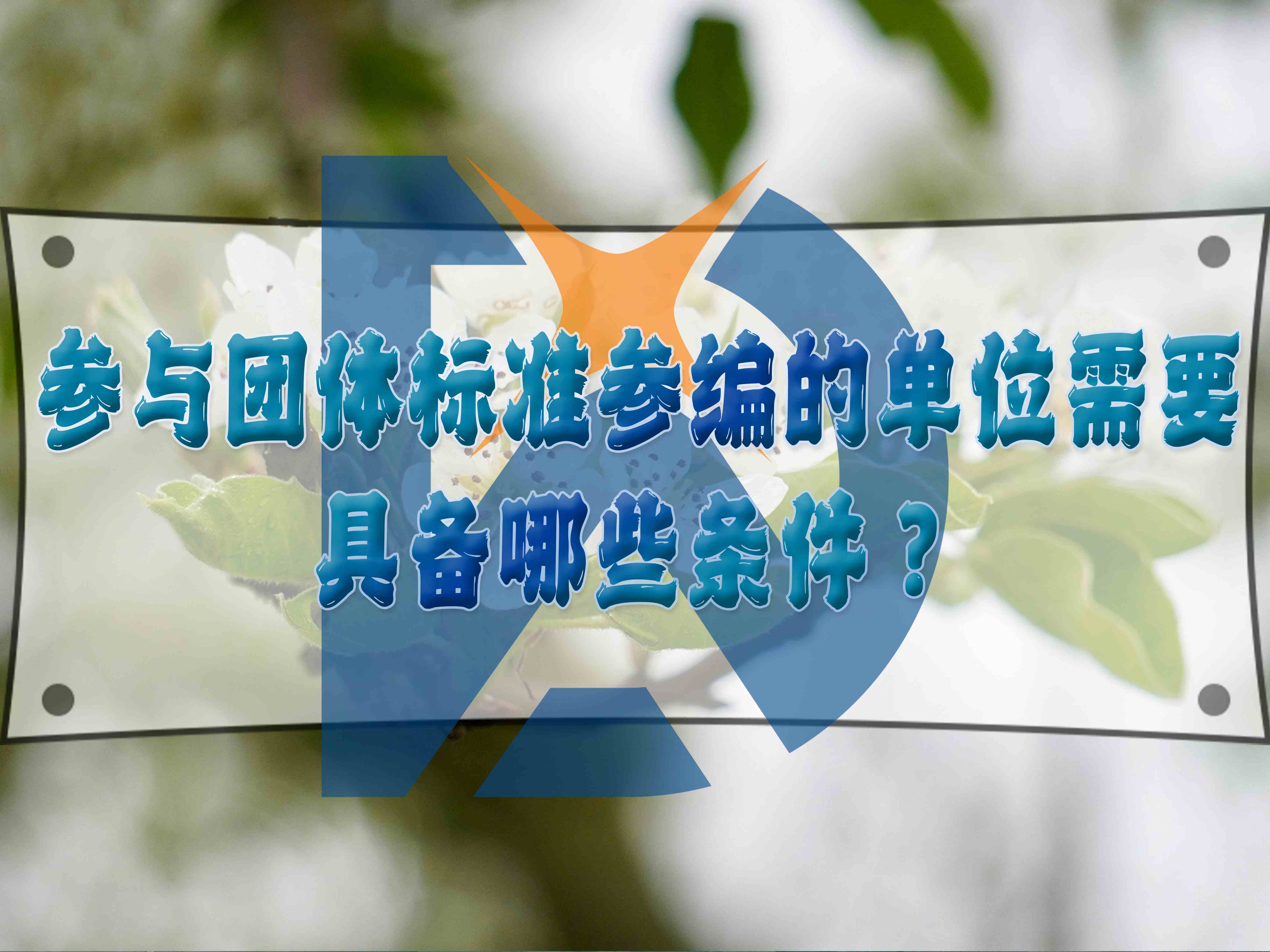 参与团体标准参编的单位需要具备哪些条件?