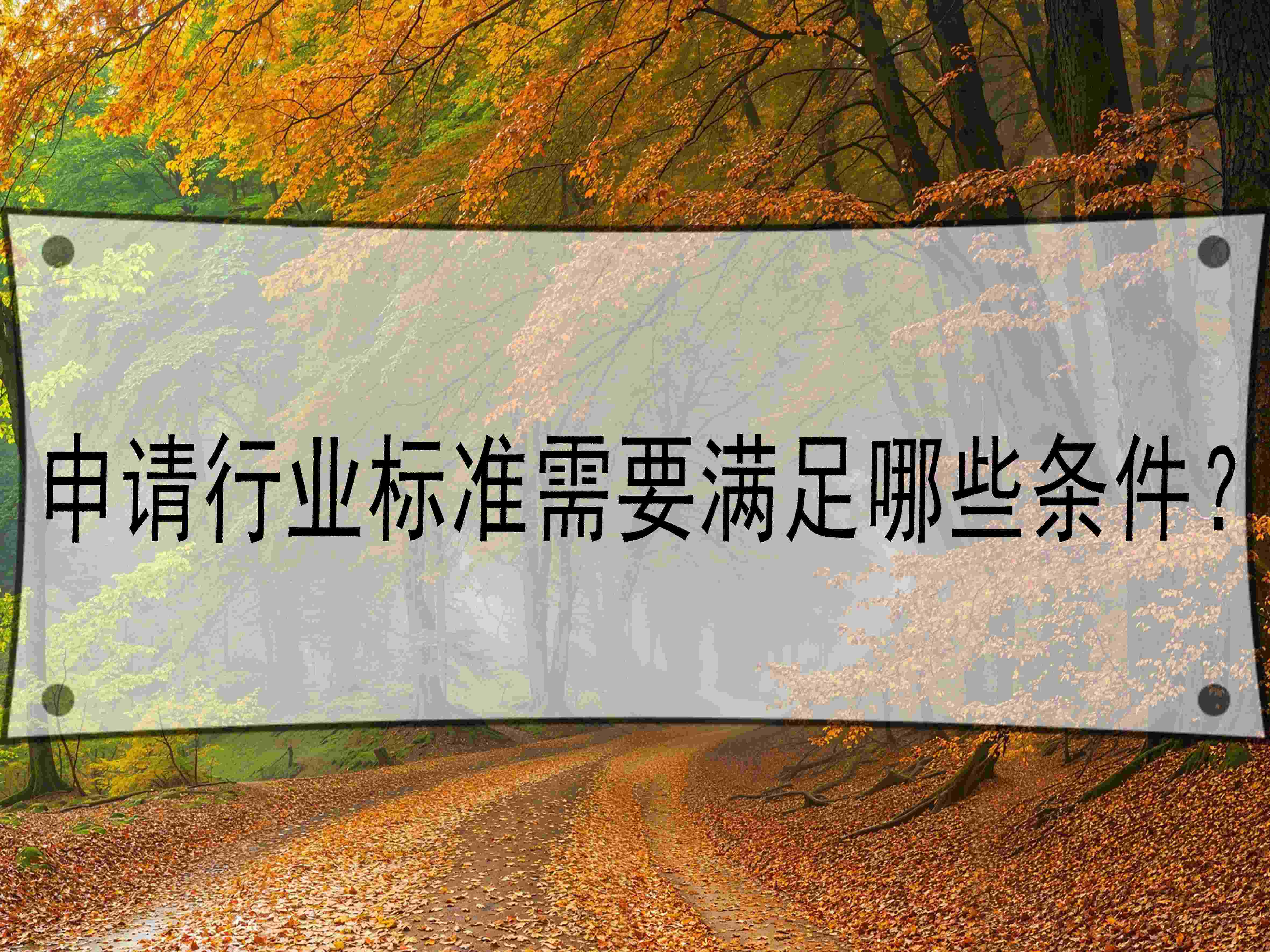 申请行业标准需要满足哪些条件?